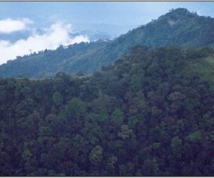 Yariguies Mountain Range Source: sanvicentedechucuri-santandergovco
